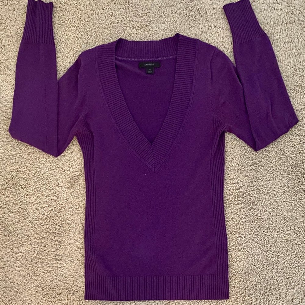 Express Design Studio Deep V-Neck Sweater